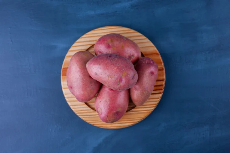 Wooden plate of ripe sweet potatoes on blue background. High quality photo blog image