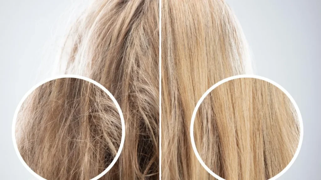 therunwaylooks why my hair is frizzy cause of frizz image